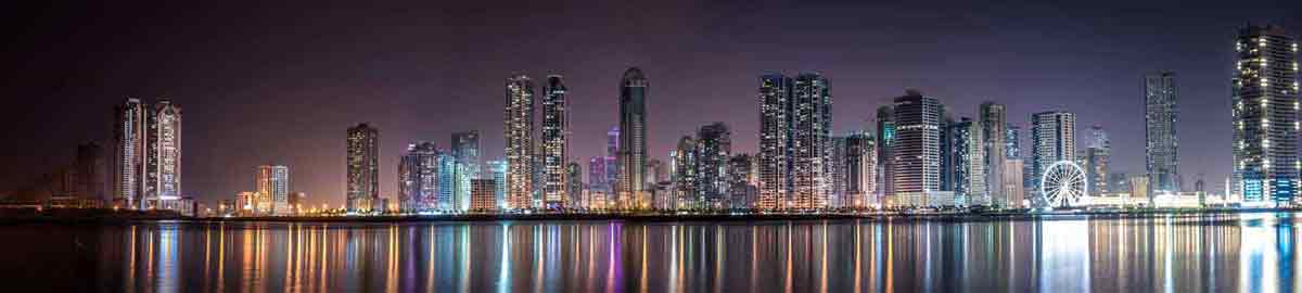 Portfolio Header Image